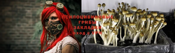 стаф Алексеевка