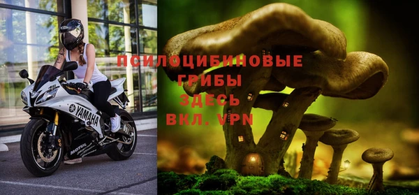 кокс Абдулино
