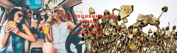 кокс Абдулино