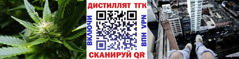 закладки Грозный ТГК концентрат