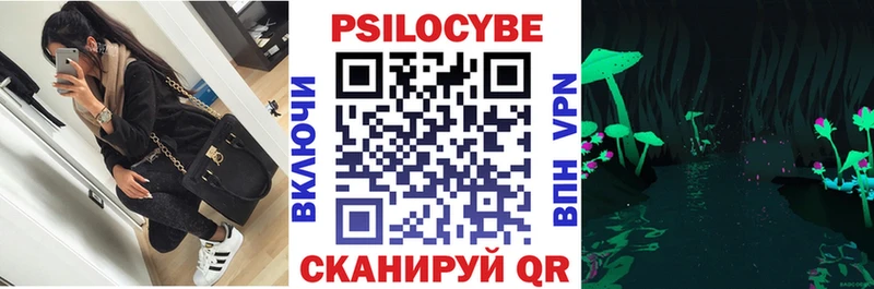 Псилоцибиновые грибы мицелий  Грозный 