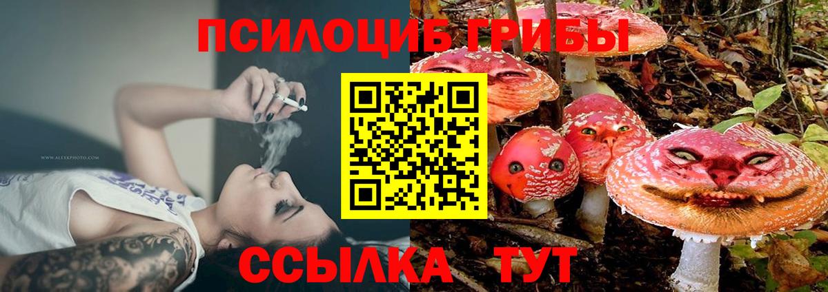 Галлюциногенные грибы GOLDEN TEACHER  Вход с VPN  Псилоцибиновые грибы мухоморы  Грозный 